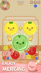 com-superbox-aos-suikagame-2.webp