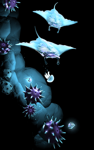 fr-pated-seashine-7.png