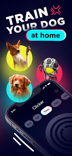 app_dogtok-7.webp